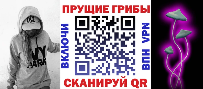сколько стоит  Оса  Галлюциногенные грибы прущие грибы 